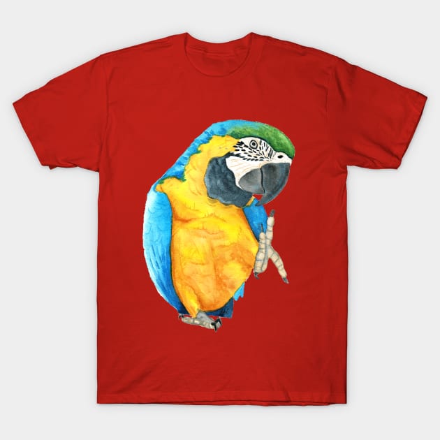 Blue and Glod macaw - watercolor parrot T-Shirt by Perroquets numériques